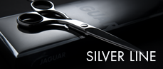 Silver Line Jaguar